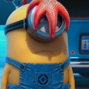 Meet your Posher, Perry